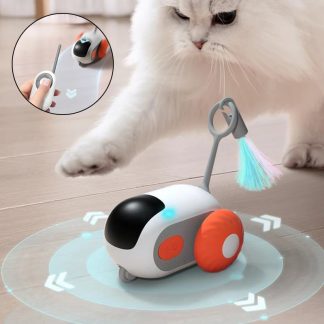 Voiture télécommandée interactive USB pour chat