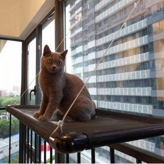 Hamac de fenêtre modulable à ventouses pour chat