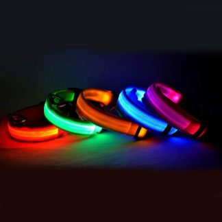 Collier LED nylon lumineux sécurité nocturne chien et chat