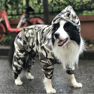 Imperméable pour chien Border Collie