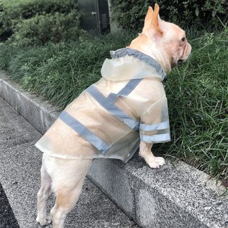 Imperméable transparent réfléchissant pour chien